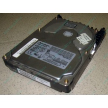Жесткий диск 18.4Gb Quantum Atlas 10K III U160 SCSI (Быково)