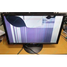 ViewSonic VA2413WM-2 разбитая матрица (Быково)