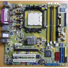 Материнская плата Asus M2NPV-VM socket AM2 (без задней планки-заглушки) - Быково