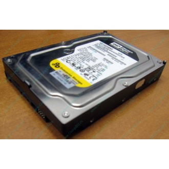 Жесткий диск 160Gb WD WD1602ABKS SATA (Быково)