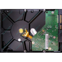 Б/У жёсткий диск 1Tb Western Digital WD10EVVS Green (WD AV-GP 1000 GB) 5400 rpm SATA (Быково)