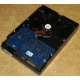 Электроника HDD 500Gb Hitachi HDS721050DLE630 (Быково)