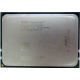 AMD Opteron 6128 OS6128WKT8EGO (Быково)