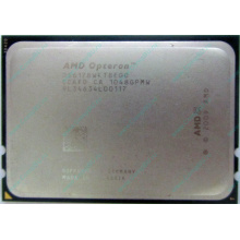 AMD Opteron 6128 OS6128WKT8EGO (Быково)