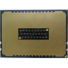 AMD Opteron 6128 OS6128WKT8EGO (Быково)